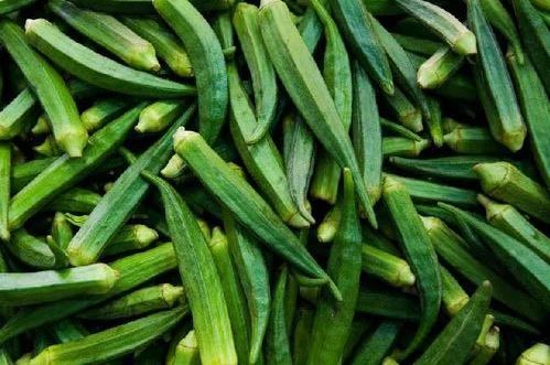 Fresh Okra